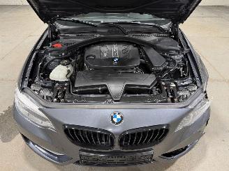 BMW 2-serie 220D Coupe 135kW Automaat Clima picture 19