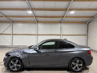BMW 2-serie 220D Coupe 135kW Automaat Clima picture 10