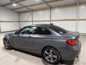 BMW 2-serie 220D Coupe 135kW Automaat Clima picture 9