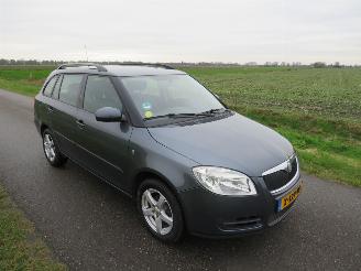 Skoda Fabia 1.2 12v GO  Airco  Topstaat picture 1