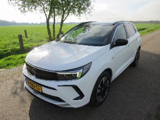 Avarii autoturisme Opel Grandland 1.2  Turbo Automaat  131pk 40.000km 2024 Euro 6 MPV Camera Navigatie Clima 2024/3