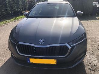 Unfallwagen Skoda Octavia Octavia Combi 1.0 TSI Business Edition 2023/7