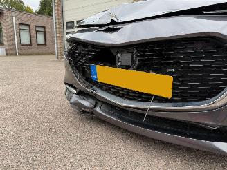 Mazda 3 2.0 e-SkyActiv-X M Hybrid 180 Luxury Navi Clima Leder NAP ! picture 21