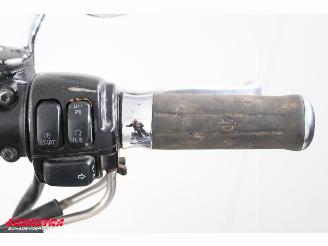 Harley-Davidson  FLSTC Heritage Softail Classic Python BY 2008 picture 21