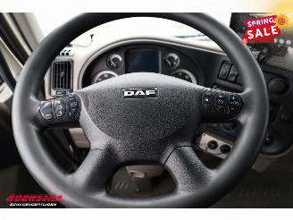 DAF LF 45 Glasresteel 4X2 Euro 5 picture 16