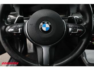 BMW 5-serie M550xd Diebstahlschaden Schuifdak Memory ACC H/K Leder Camera SHZ picture 18