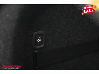 Polestar 2 Long Range Single Pano LED ACC H/K 360° LRHZ picture 32