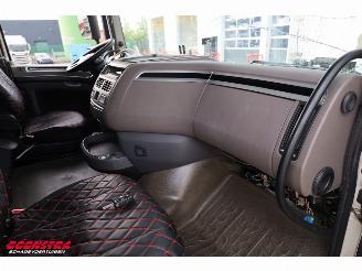 DAF XF 480 LBW Bak-Klep LBW Dhollandia Leder 6X2 picture 27