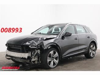 Unfallwagen Audi E-tron 55 quattro 95 kWh Pano LED Cruise SHZ PDC 2019/5