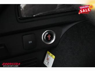 Ford Kuga 2.5 PHEV ST-Line X LED ACC Apple/Android Camera AHK picture 28