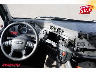 DAF CF 260 FA Aut. Kuhlkoffer Dhollandia Euro 6 picture 15