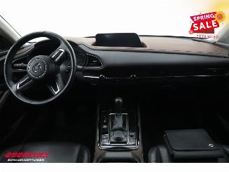 Mazda CX-30 2.0 e-SkyActiv-X M Hybrid Luxury LED ACC Bose Memory LRHZ AHK picture 8