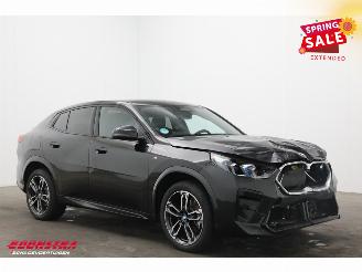 BMW iX2 xDrive30 67 kWh M Sport LED ACC H/K Memory 360° AHK LRHZ picture 2