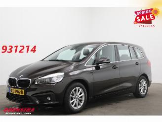 occasione autovettura BMW 2-serie Gran Tourer 214d Centennial Executive Navi Clima Cruise PDC AHK 2016/10