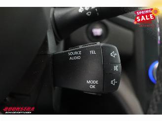 Renault Mégane 1.3 TCe Bose LED HUD Navi Clima Cruise Camera PDC picture 27