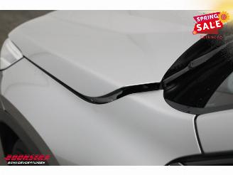 BMW iX1 xDrive30 67 kWh LED ACC Apple/Android Camera SHZ picture 12