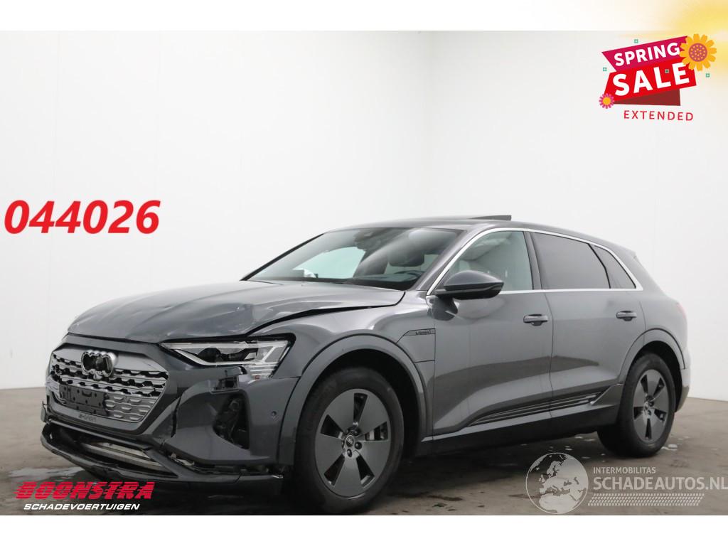 Audi Q8 55 quattro Advanced 115 kWh Pano LED ACC HUD 360° Ventilatie LRHZ