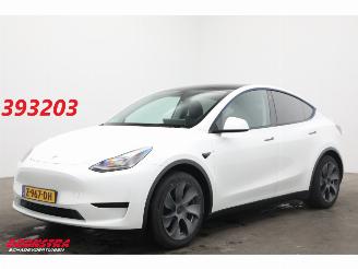 skadebil auto Tesla Model Y RWD 58 kWh Pano LED ACC Camera LRHZ SHZ AHK 2024/3