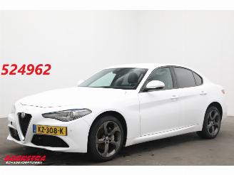 skadebil auto Alfa Romeo Giulia 2.2 Eco Business Super Leder BiXenon Navi Clima Cruise Camera 2017/1
