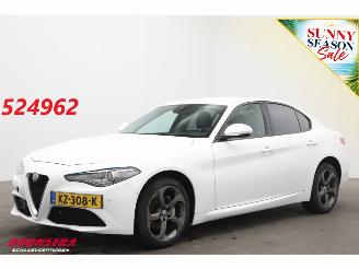 Voiture accidenté Alfa Romeo Giulia 2.2 Eco Business Super Leder BiXenon Navi Clima Cruise Camera 2017/1
