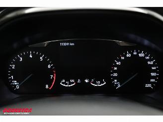 Ford Fiesta 1.0 EcoBoost Titanium Navi Clima Cruise Camera SHZ PDC picture 21