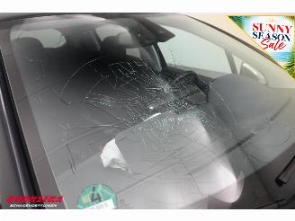Peugeot 208 1.2 PT Signature Navi Airco Cruise PDC 134.559 km! picture 11
