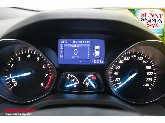 Ford Kuga 1.6 Titanium Cruise Navi SHZ Bluetooth Camera PDC picture 17
