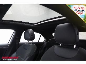 Mercedes A-klasse 250 e AMG Limited Pano Navi SHZ PDC AHK picture 21