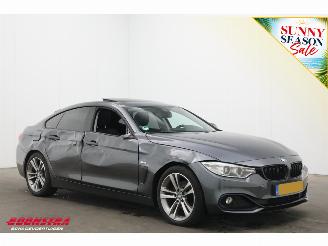 BMW 4-serie Gran Coupé 420d Aut. Sport-Line BiXenon Leder Navi Clima Cruise Camera PDC picture 2
