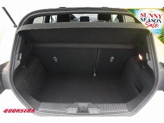 Ford Fiesta 1.0 EcoBoost ST-Line B&O Apple/Android Cruise picture 20