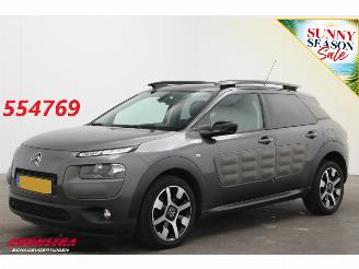 Voiture accidenté Citroën C4 cactus 1.2 PureTech Cruise Navi Clima Mulicity Connect Camera PDC 2018/3