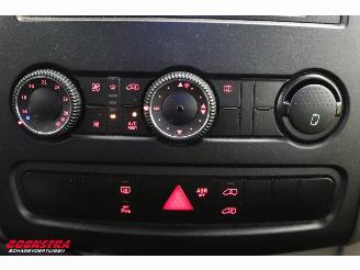 Volkswagen Crafter 2.0 TDI Tribus L3-H2 9-Pers. Behindertengerecht Cruise Airco picture 24