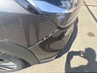 Suzuki S-Cross  picture 11
