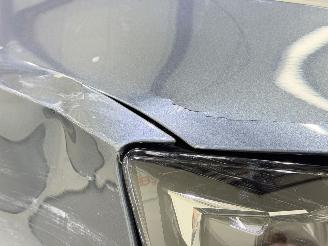 Skoda Octavia Combi 1.0 TSI Business Ed. Plus picture 11