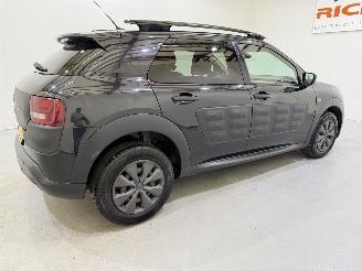 Citroën C4 cactus 1.6 Blue HDI 100 Shine Pano/Navi picture 13