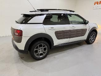 Citroën C4 cactus 1.2 PureTech 82 Shine Automaat picture 36