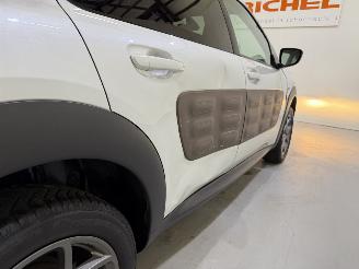 Citroën C4 cactus 1.2 PureTech 82 Shine Automaat picture 40