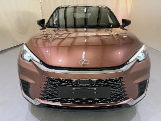 Lexus LBX 1.5 Hybrid HEV 100kW picture 29