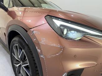 Lexus LBX 1.5 Hybrid HEV 100kW picture 9