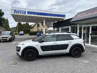 Citroën C4 cactus 1.2 Pure Tech Shine picture 5