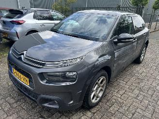 Citroën C4 cactus 1.2 PureTech Origins picture 1