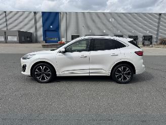 Ford Kuga Vignale 1.5 Panorama B&O LED Leder Navi Vol opties picture 8