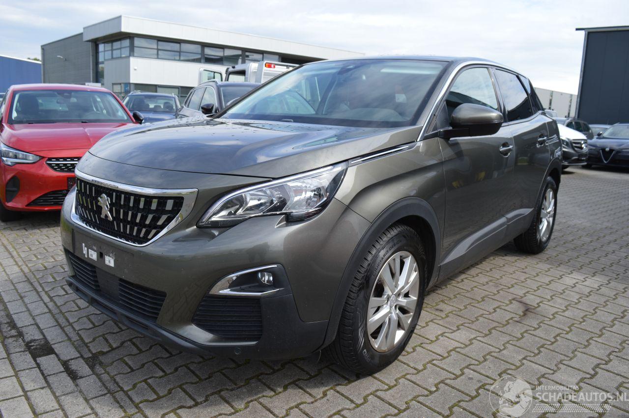 Peugeot 3008 Peugeot 3008 Automatik Business Leder Kamera Pdc Klima