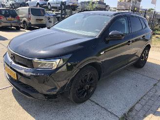 Opel Grandland 1.2i Turbo 96kW Automaat Ultimate picture 2