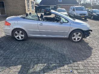 Peugeot 307  picture 6