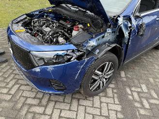 Mercedes EQA 71KWH EQA 250+ LUXURY LINE / Pano / Leer picture 11