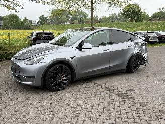 Coche accidentado Tesla Model Y Performance 393 KW / Long Range / AWD / Panorama / Leer 2024/4