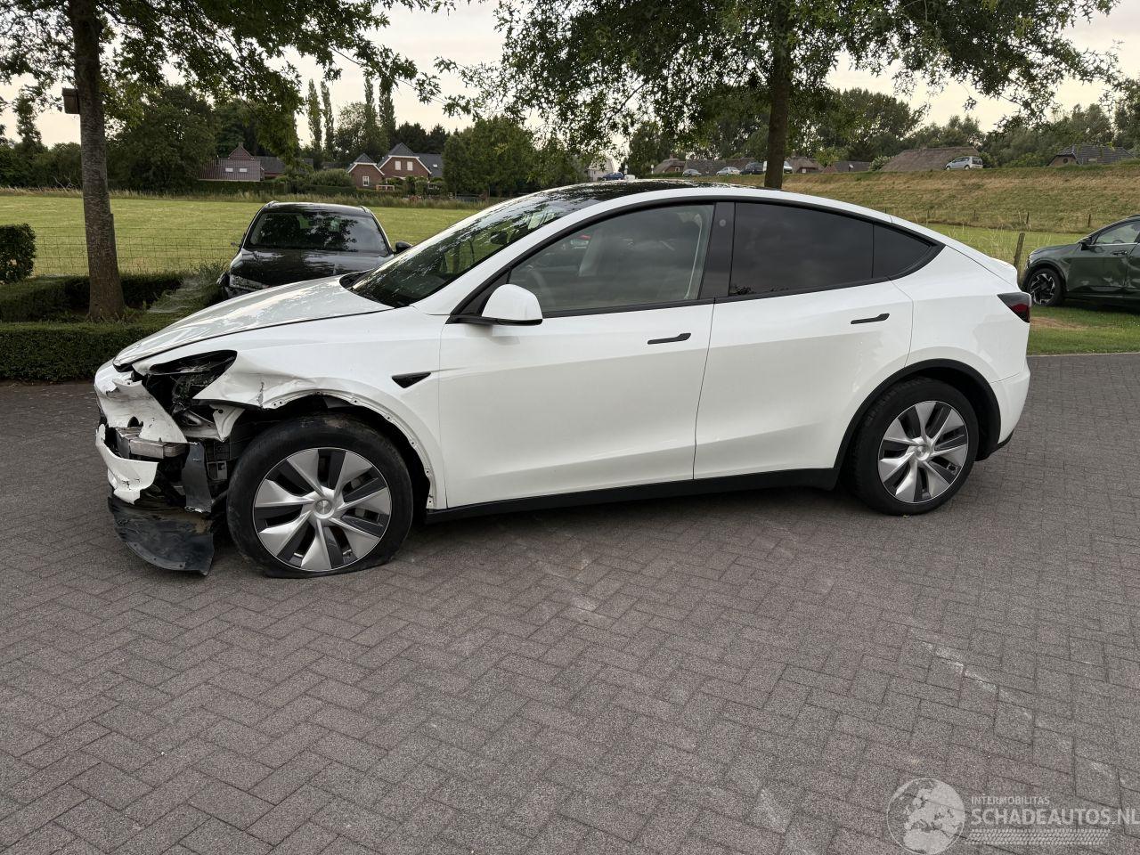 Tesla Model Y RWD 58 kWh / Panorama