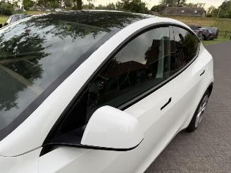 Tesla Model Y RWD 58 kWh / Panorama picture 12