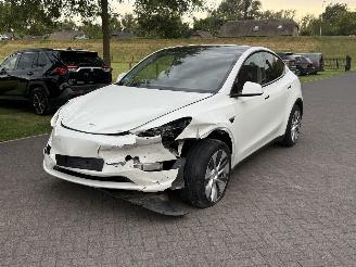 Tesla Model Y RWD 58 kWh / Panorama picture 2